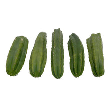 Load image into Gallery viewer, Trichocereus Pachanoi | Bulk Cutting Packs | San Pedro Cactus Bulk - Predominant Cultivar (PC) / 5 Regular Cuttings / Small (8-12 inch) - San Pedro Source
