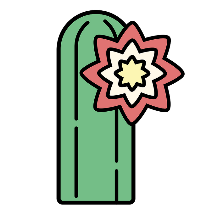 Gift Card - $25.00 - San Pedro Source