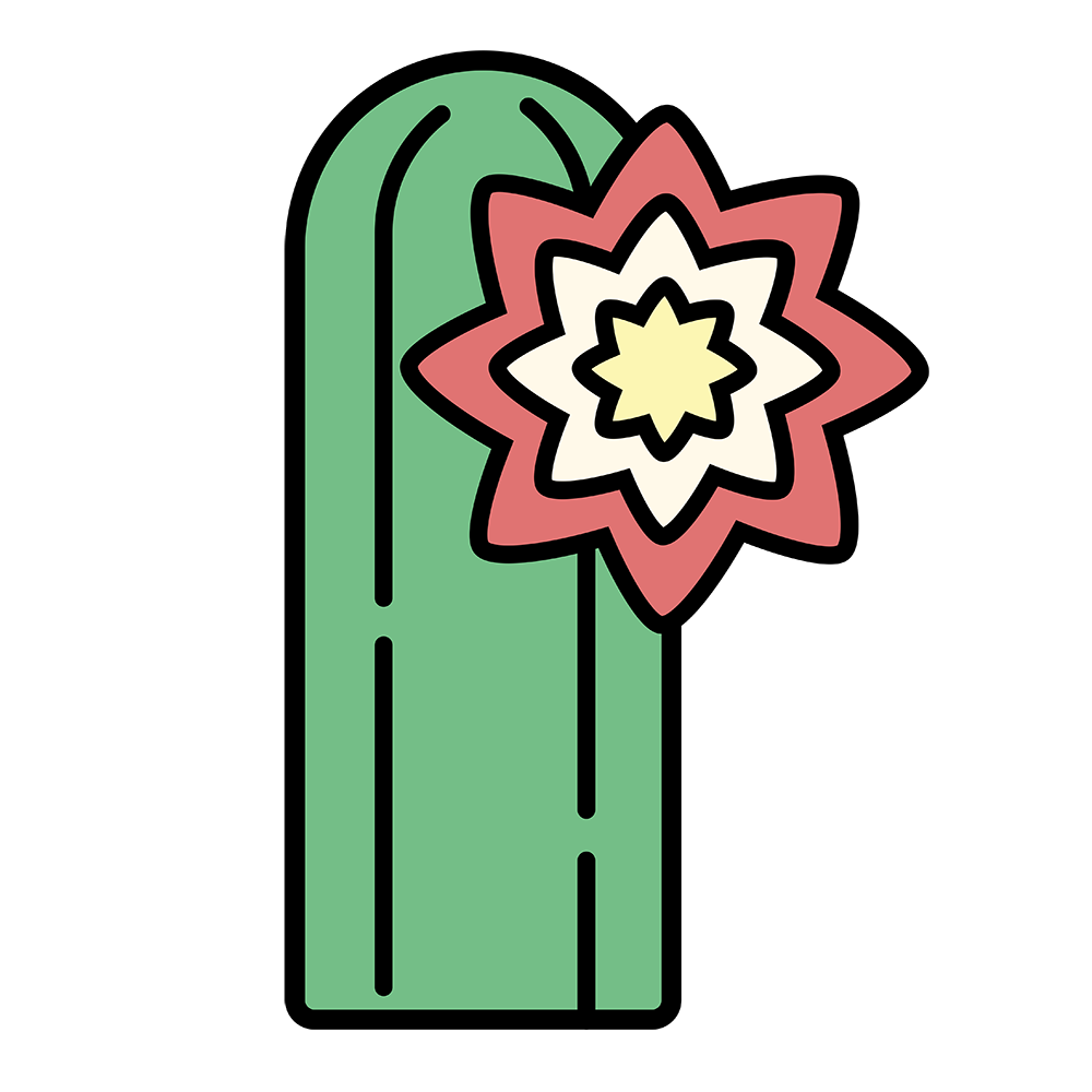 Gift Card - $25.00 - San Pedro Source
